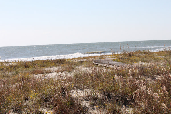 Beachwalker Park, Kiawah Island, Carolina del Sur
