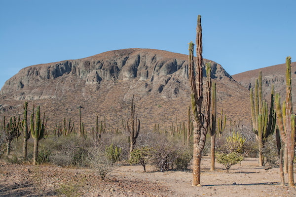 Explora los alrededores en cuatrimoto