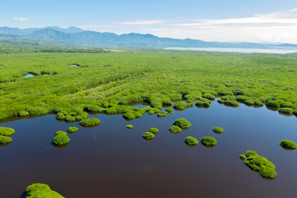 Los imponentes acantilados de La Tovara